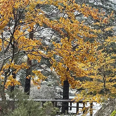 Dom wakacyjny La Casa Del Alamo Vinuesa