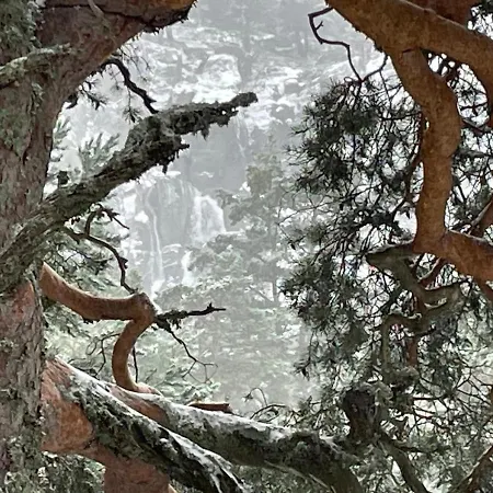 Dom wakacyjny La Casa Del Alamo