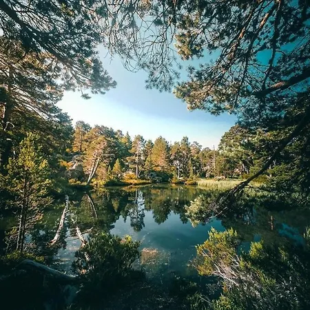 La Casa Del Alamo Vinuesa