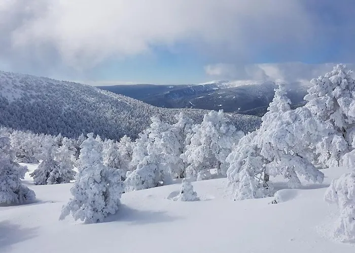 La Casa Del Alamo 비누에사