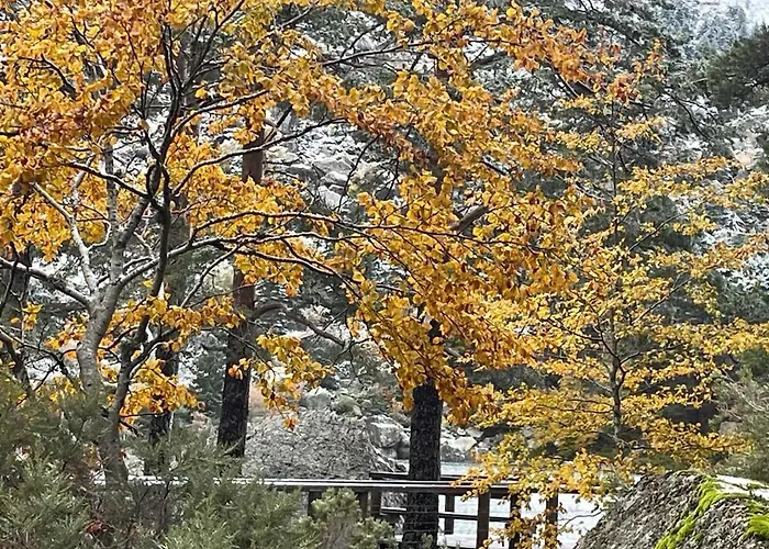 펜션 La Casa Del Alamo 비누에사