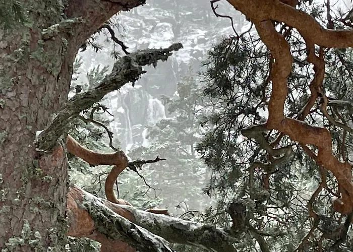 펜션 La Casa Del Alamo