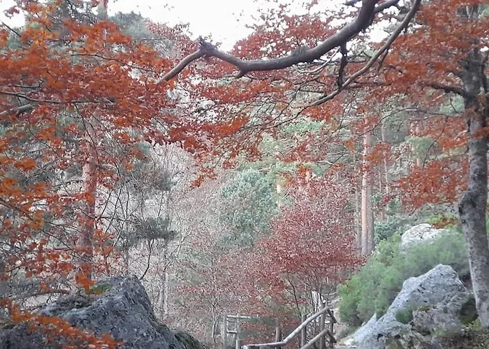 La Casa Del Alamo 비누에사