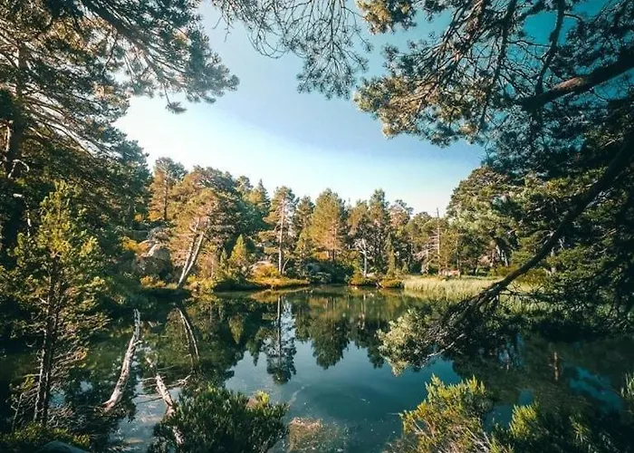 La Casa Del Alamo 비누에사