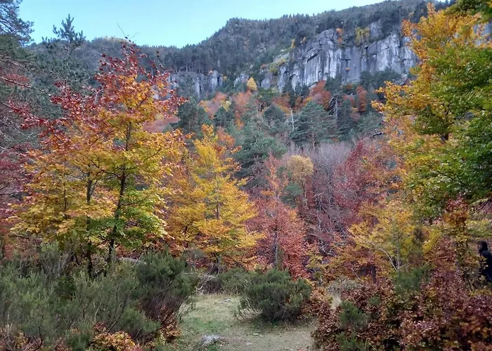 La Casa Del Alamo 펜션 *